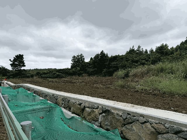 B000530202501300017143.jpg