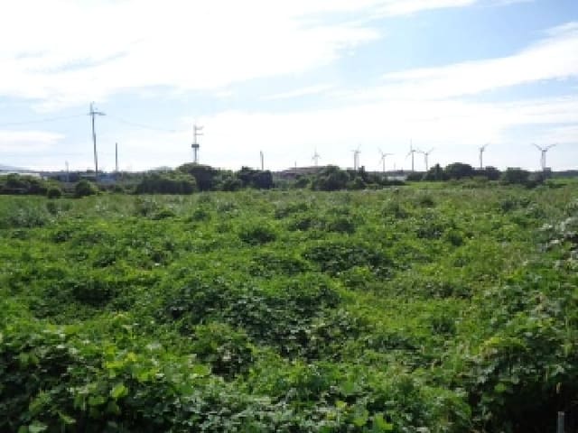 B000530202501300017321.jpg