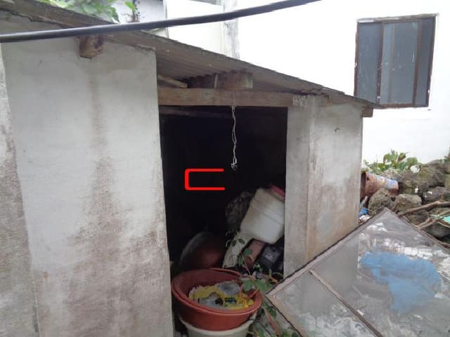 B000530202501300017394.jpg