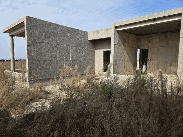 B000530202501300017534.jpg