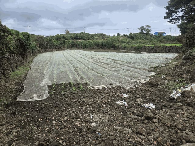 B000530202501300017744.jpg