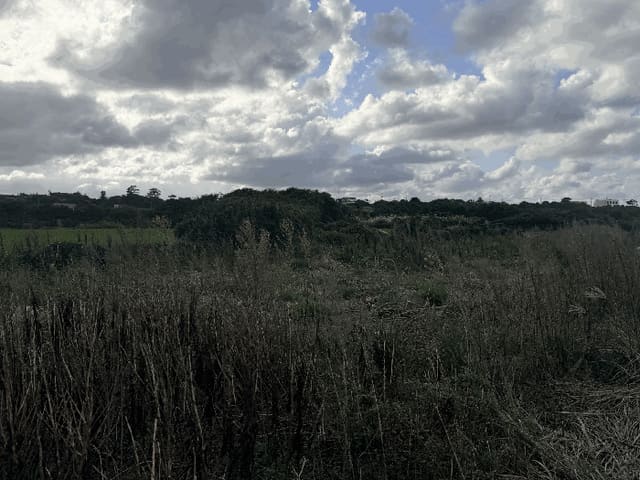 B000530202501300017804.jpg