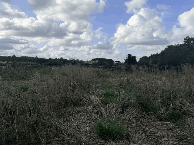 B000530202501300017802.jpg