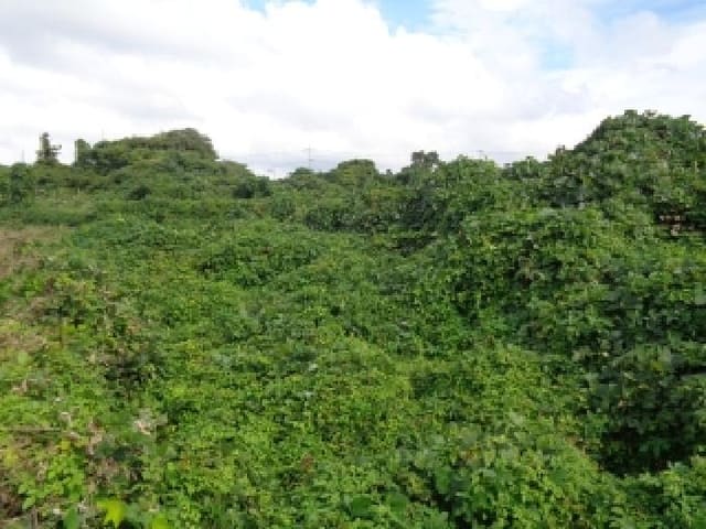 B000530202501300017952.jpg