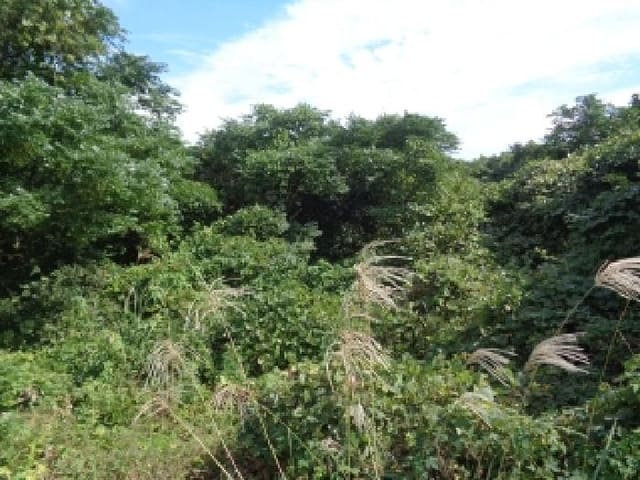 B000530202501300017954.jpg