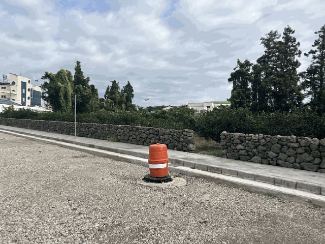 B000530202501300018124.jpg