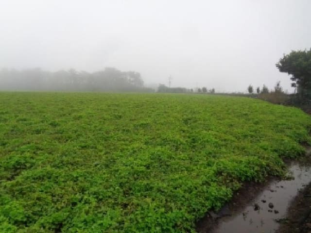 B000530202501300018161.jpg