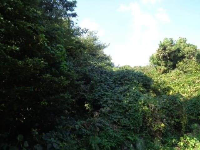 B000530202501300018312.jpg
