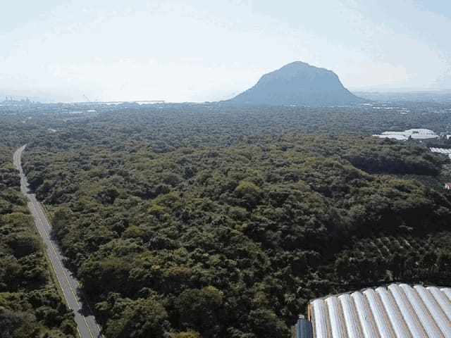 B000530202501300018313.jpg