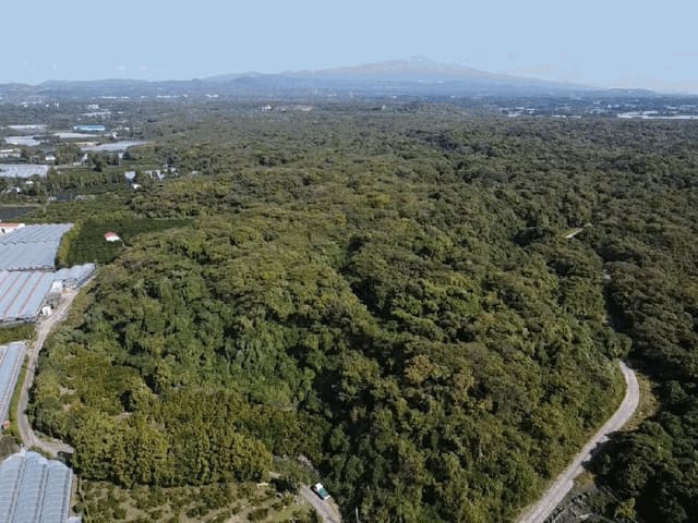 B000530202501300018314.jpg