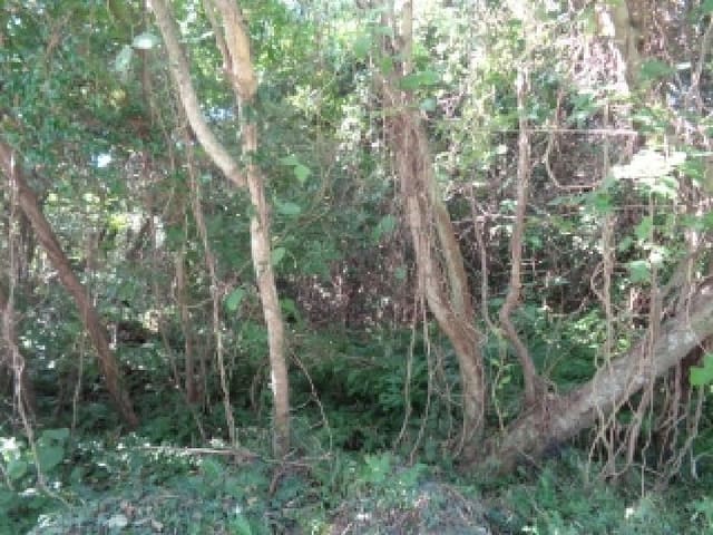 B000530202501300018311.jpg