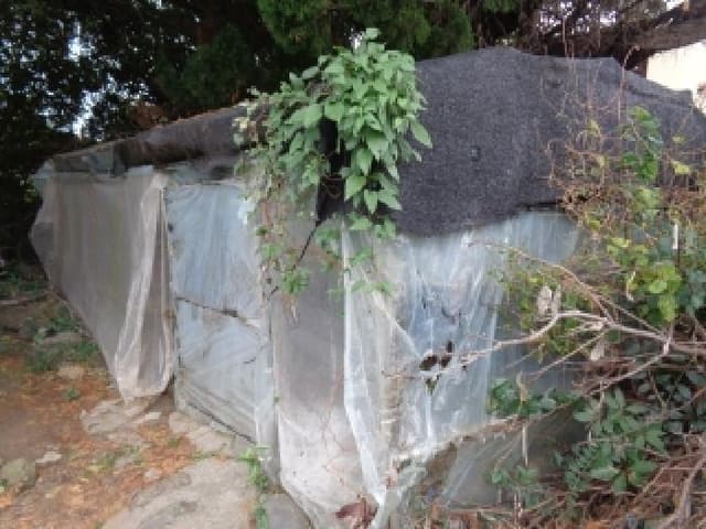 B000530202501300018613.jpg