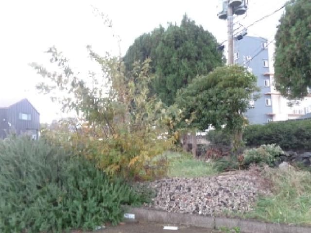 B000530202501300019051.jpg