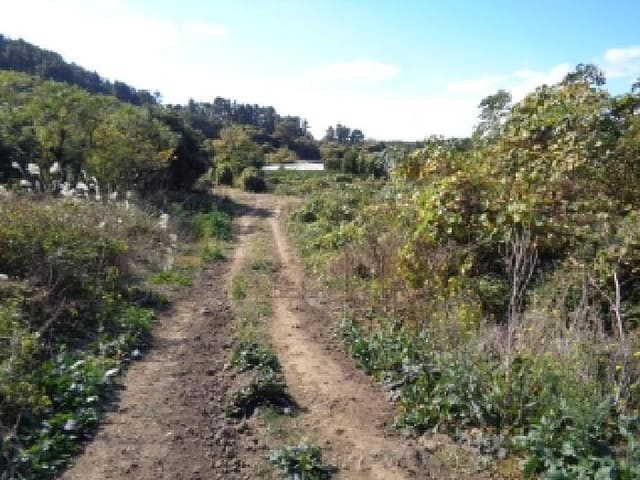 B000530202501300019654.jpg