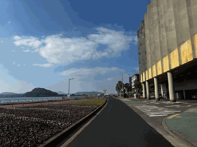 B000530202501300020125.jpg