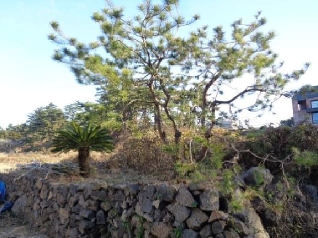 B000530202501300020671.jpg