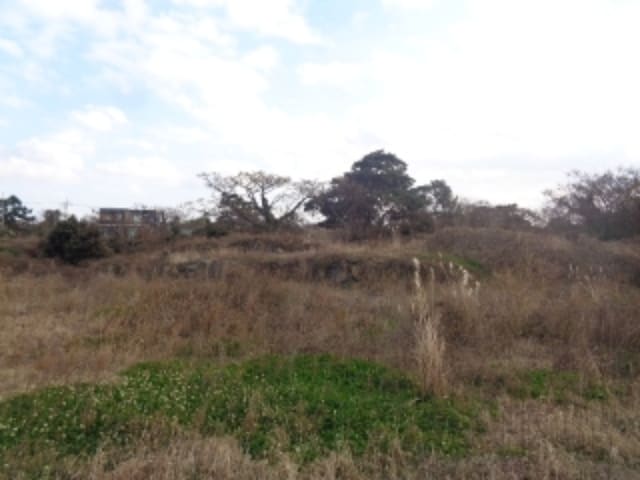 B000530202501300060823.jpg