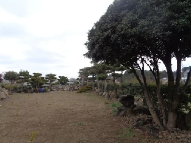 B000530202501300067473.jpg