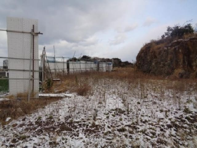 B000530202501300073061.jpg