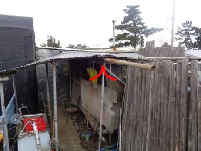 B000530202501300073132.jpg