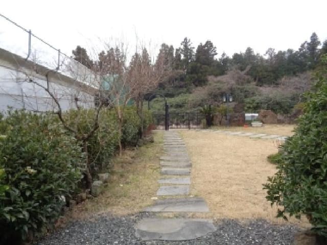B000530202501300076274.jpg