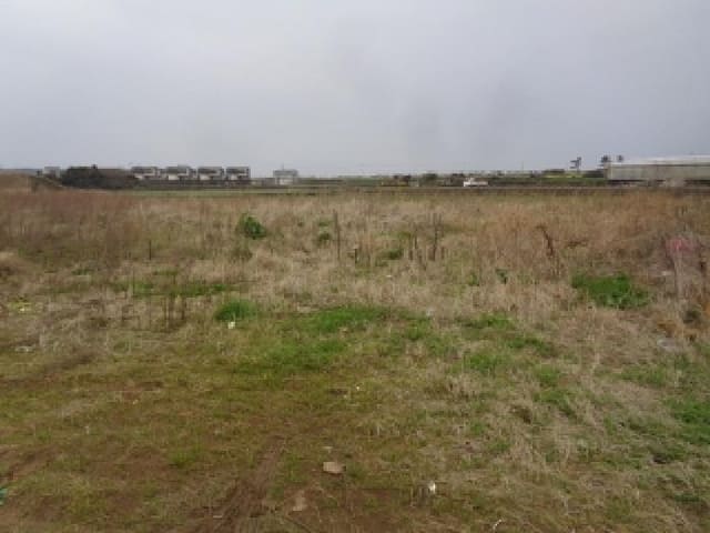 B000530202501300076791.jpg