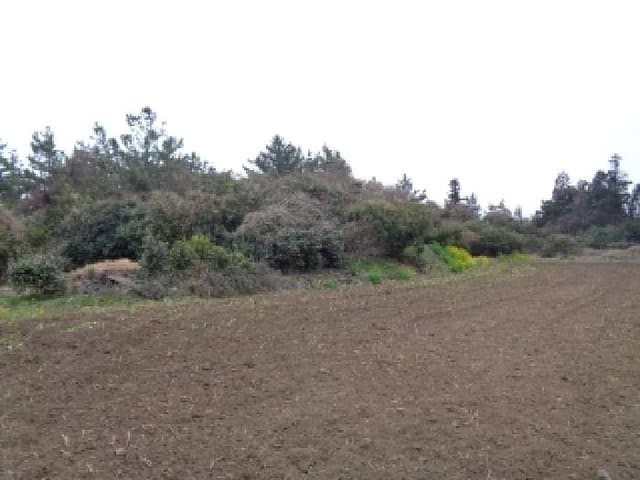 B000530202501300076862.jpg