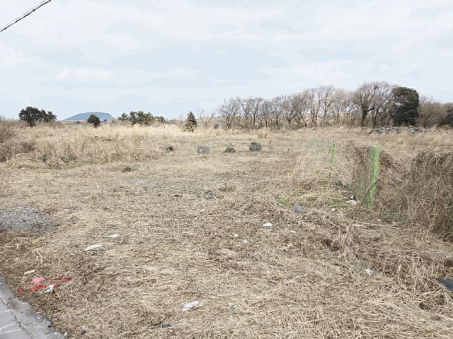 B000530202501300077014.jpg