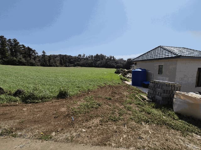 B000530202501300077714.jpg
