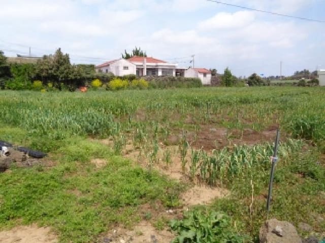 B000530202501300077743.jpg