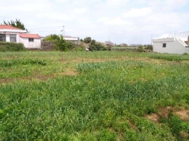 B000530202501300077741.jpg