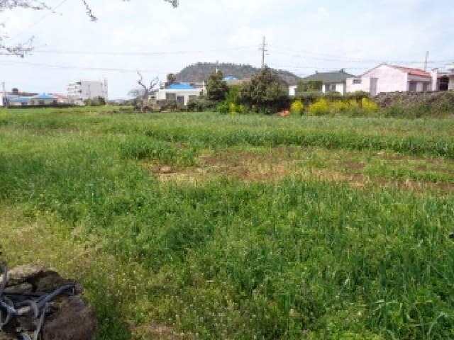 B000530202501300077742.jpg