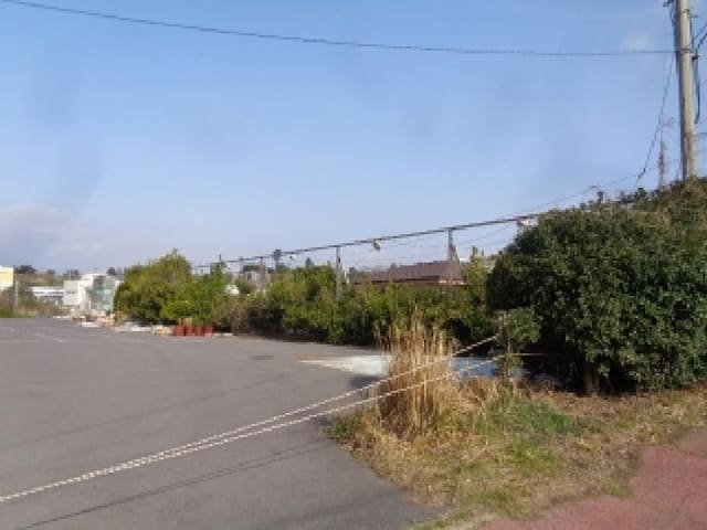B000530202501300077771.jpg
