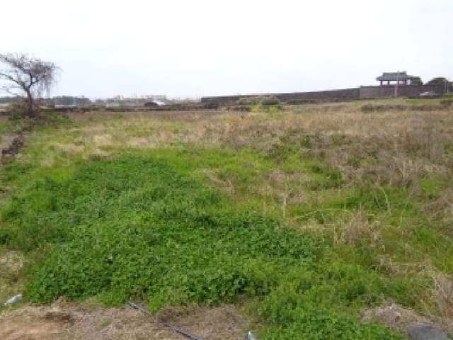 B000530202501300077841.jpg