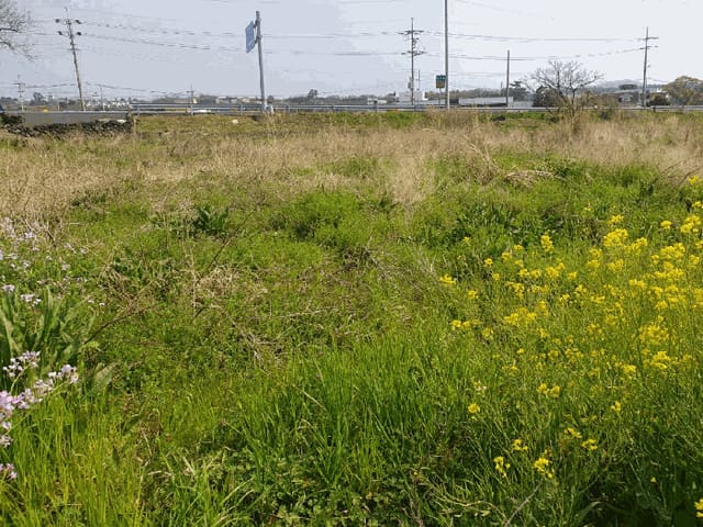 B000530202501300077842.jpg