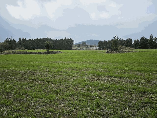 B000530202501300078044.jpg