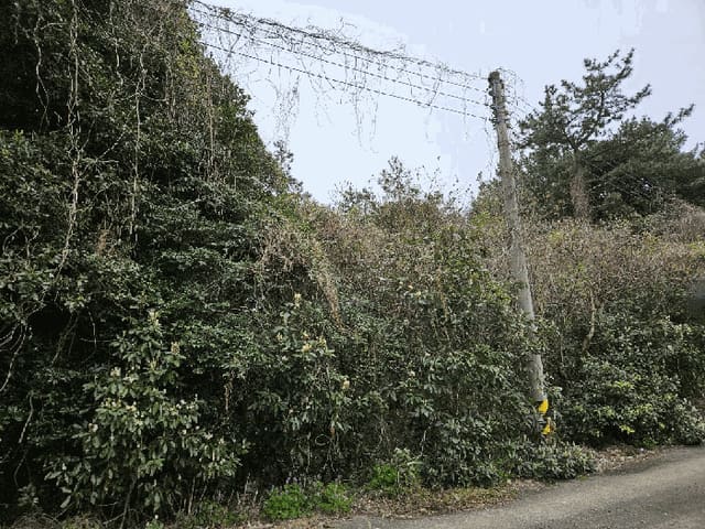 B000530202501300078154.jpg