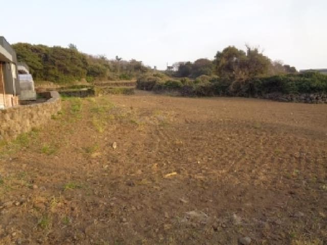 B000530202501300078221.jpg