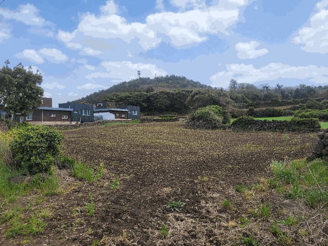 B000530202501300078224.jpg