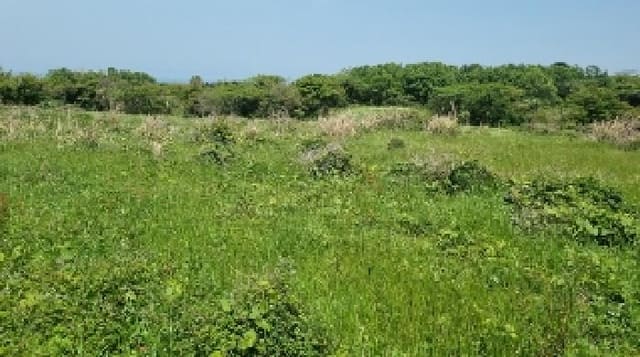 B000530202501300078372.jpg