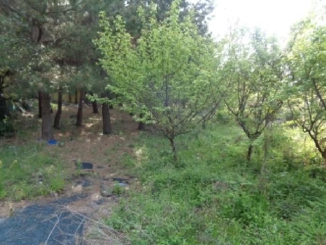 B000530202501300078422.jpg