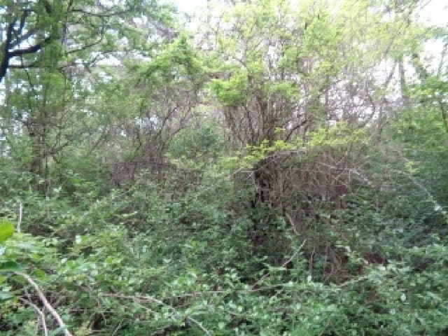 B000530202501300078963.jpg