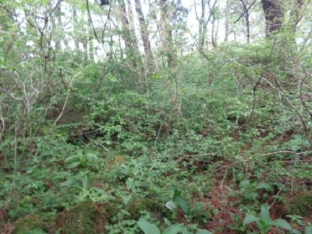 B000530202501300078964.jpg