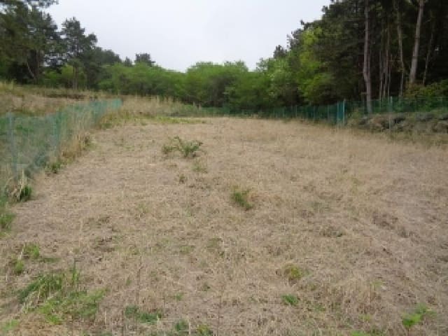B000530202501300079042.jpg