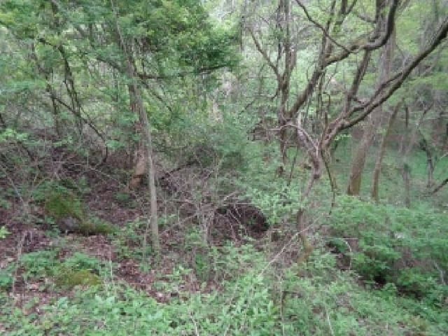 B000530202501300079043.jpg