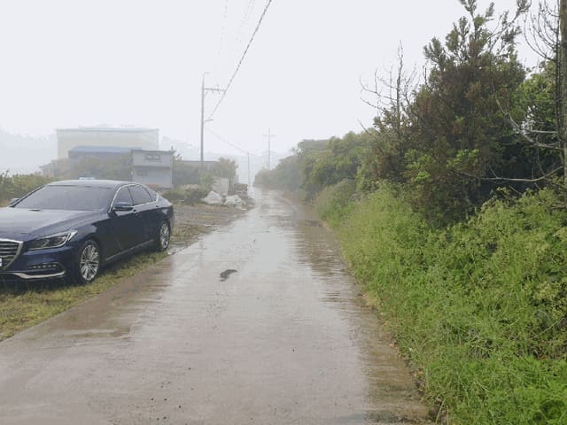 B0005302025013000799615.jpg