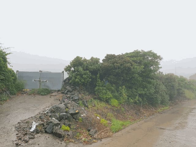 B0005302025013000799616.jpg