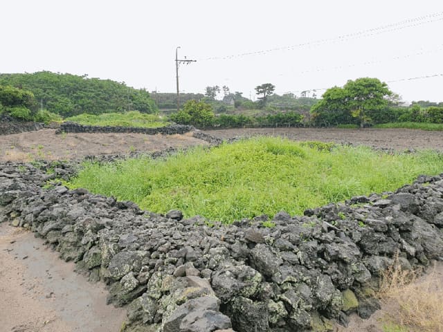 B0005302025013000799614.jpg