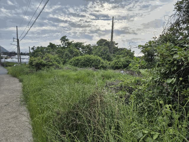 B000530202501300080323.jpg