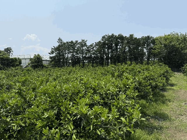 B000530202501300080354.jpg